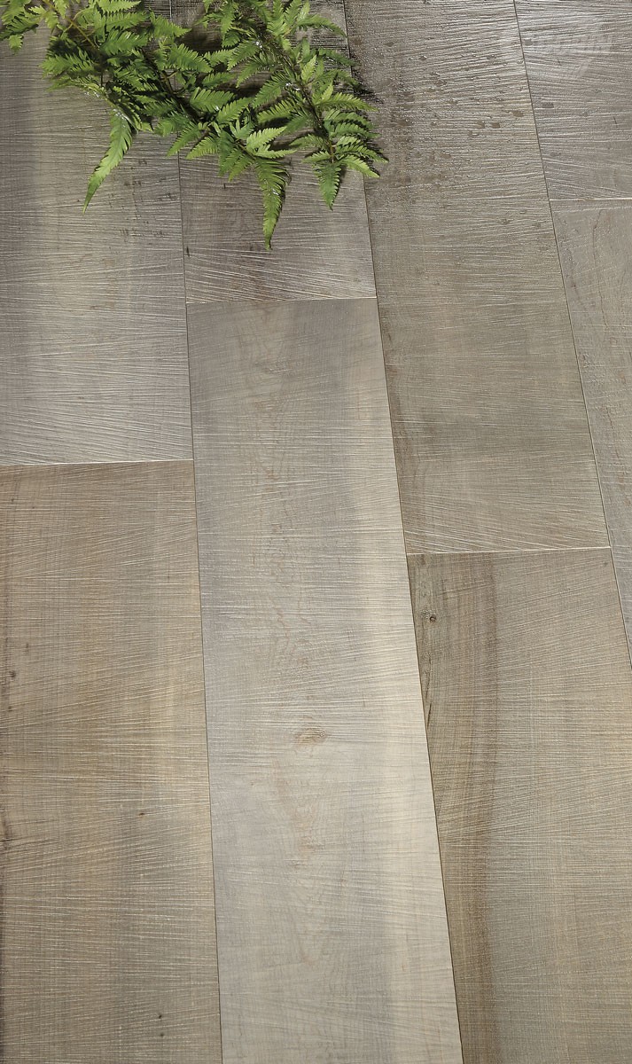 Sawn Hard Maple Forest Source - 