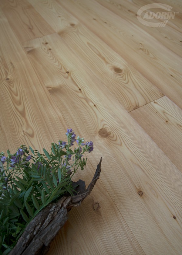 Larch - Natural oiled