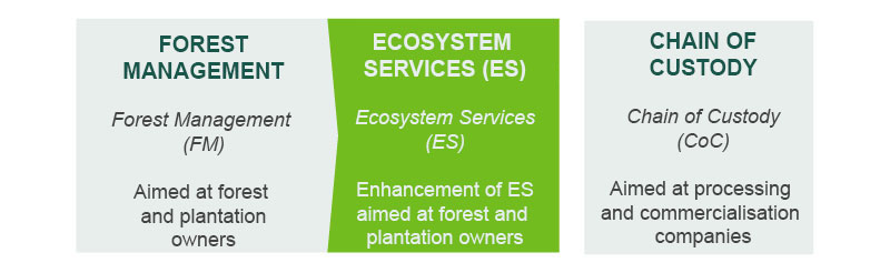 How the FSC System Works  Forest Stewardship Council