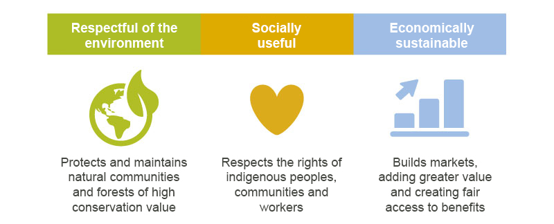 How the FSC System Works Forest Stewardship Council