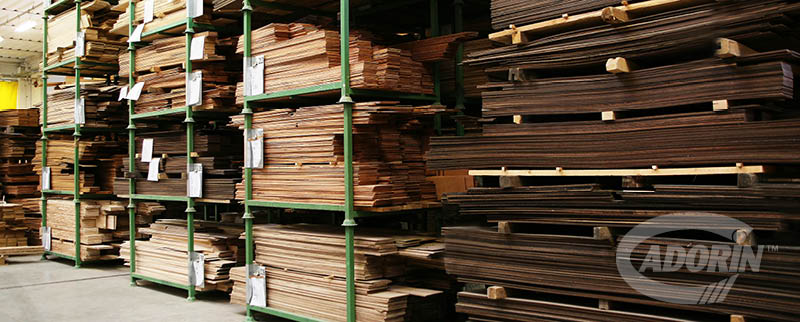 Wide range of timbers