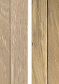 bevel