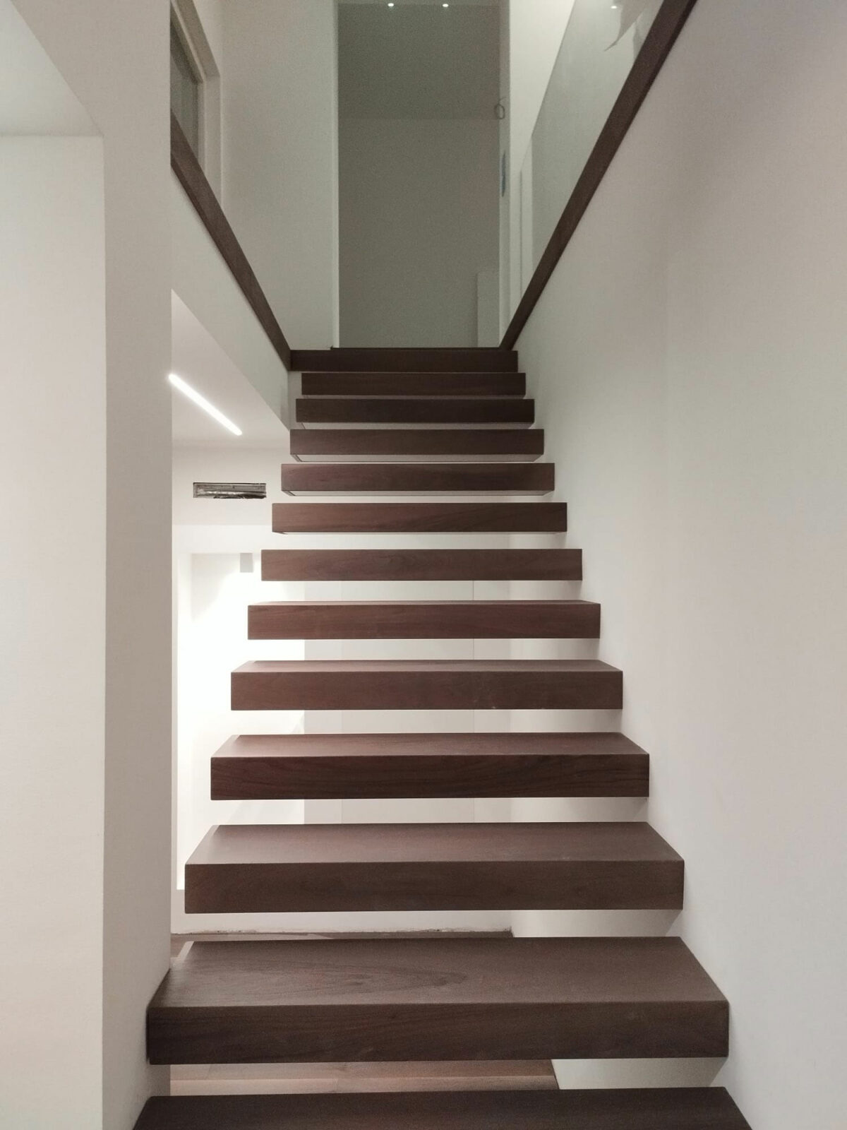 European Walnut Bark